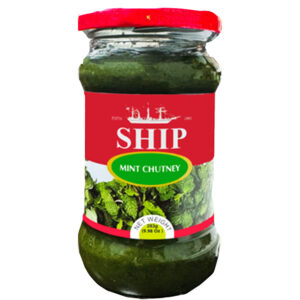 Ship Mint Chutney