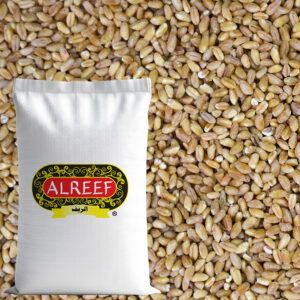 Shelled Wheat - Habia Bulk